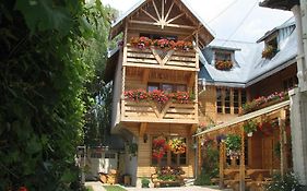 Pension Crizantema Vatra Moldoviţei 3*